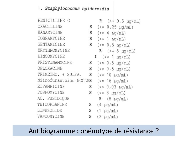 Antibiogramme : phénotype de résistance ? 