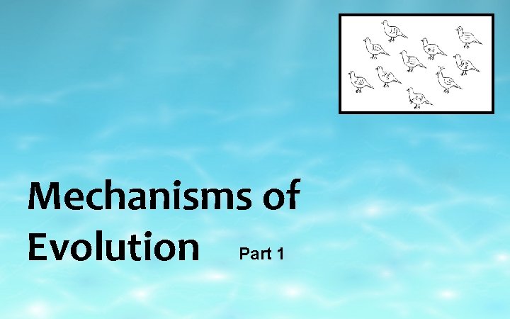 Mechanisms of Evolution Part 1 