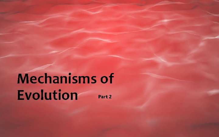 Mechanisms of Evolution Part 2 