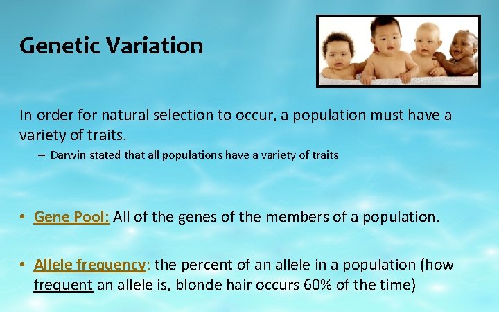 Genetic Variation In order for natural selection to occur, a population must have a