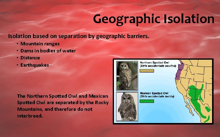 Geographic Isolation based on separation by geographic barriers. • • Mountain ranges Dams in