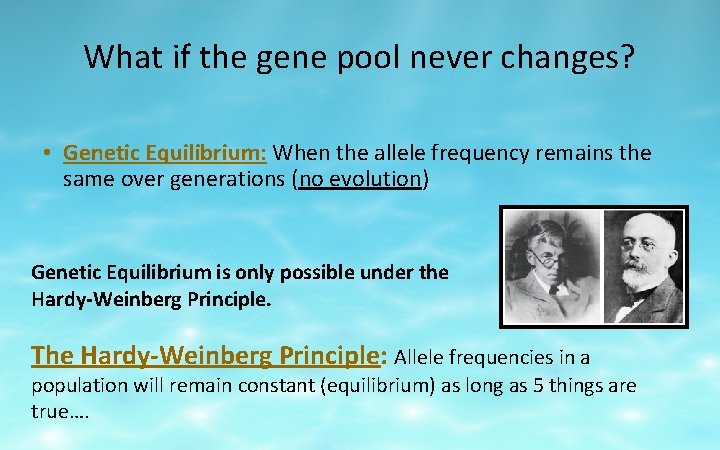What if the gene pool never changes? • Genetic Equilibrium: When the allele frequency