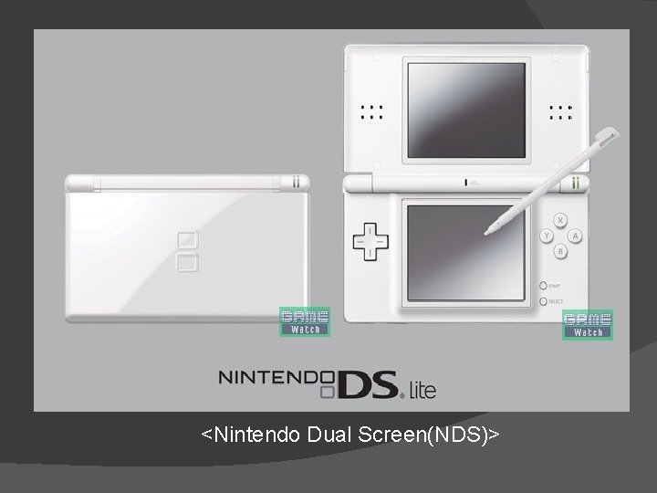 <Nintendo Dual Screen(NDS)> 