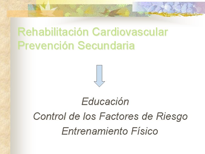 Rehabilitación Cardiovascular Prevención Secundaria Educación Control de los Factores de Riesgo Entrenamiento Físico 