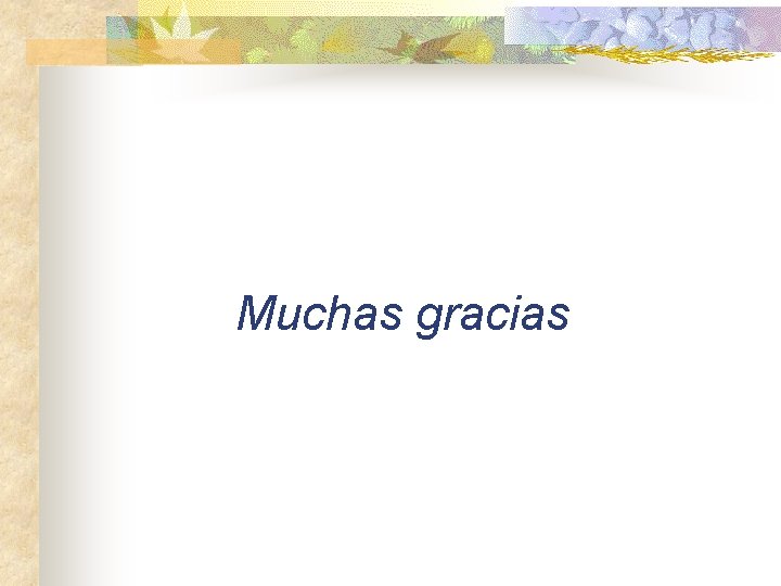 Muchas gracias 