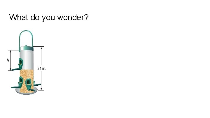What do you wonder? 