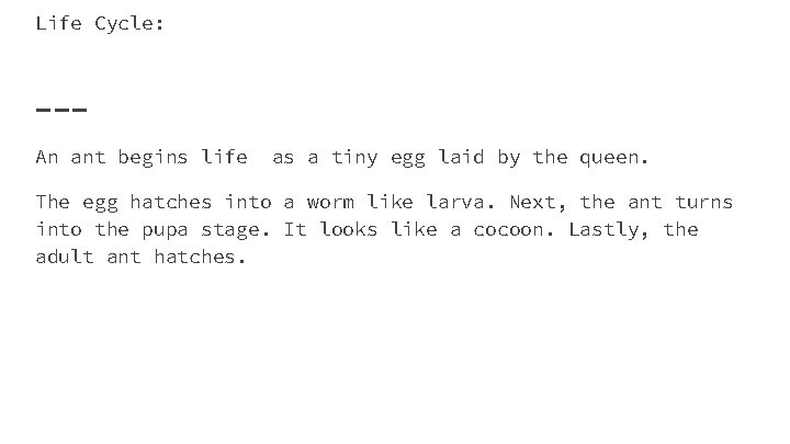 Life Cycle: An ant begins life as a tiny egg laid by the queen.