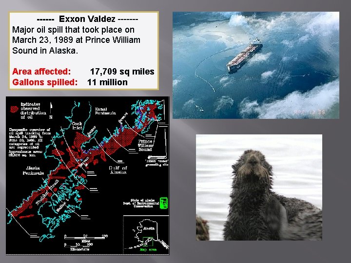 ------ Exxon Valdez ------Major oil spill that took place on March 23, 1989 at