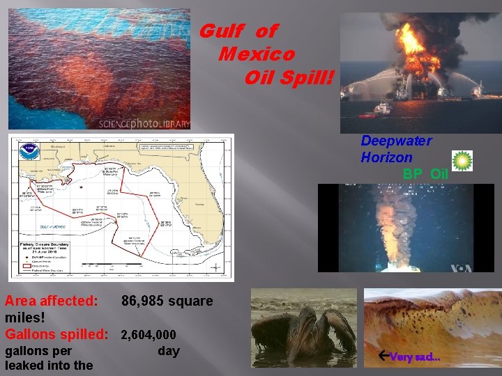 Gulf of Mexico Oil Spill! Deepwater Horizon BP Oil Area affected: 86, 985 square