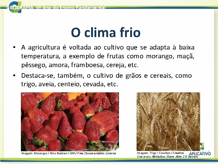 GEOGRAFIA, 6º Ano do Ensino Fundamental O clima no cotidiano das pessoas O clima