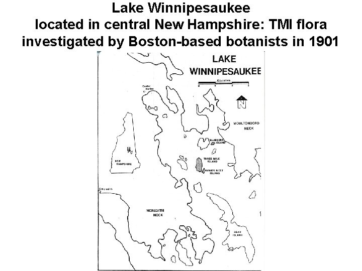 Lake Winnipesaukee located in central New Hampshire: TMI flora investigated by Boston-based botanists in Lake Winnipesaukee located in central New Hampshire: TMI flora investigated by Boston-based botanists in