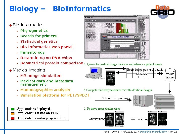 Biology – u Bio-informatics n Phylogenetics n Search for primers n Statistical genetics n