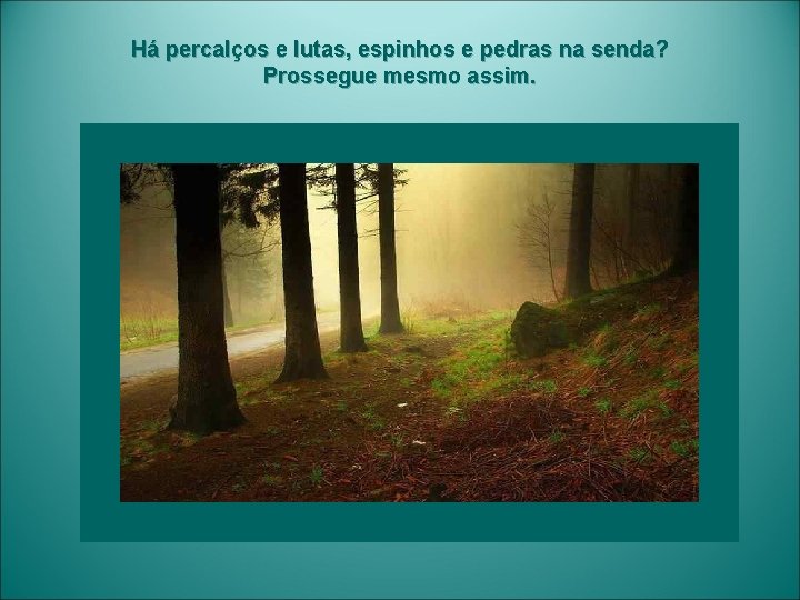 Há percalços e lutas, espinhos e pedras na senda? Prossegue mesmo assim. 