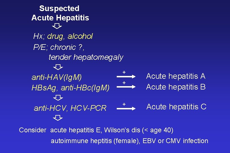 Suspected Acute Hepatitis Hx; drug, alcohol P/E; chronic ? , tender hepatomegaly anti-HAV(Ig. M)