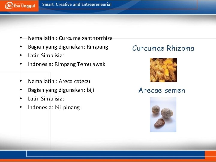  • • Nama latin : Curcuma xanthorrhiza Bagian yang digunakan: Rimpang Latin Simplisia: