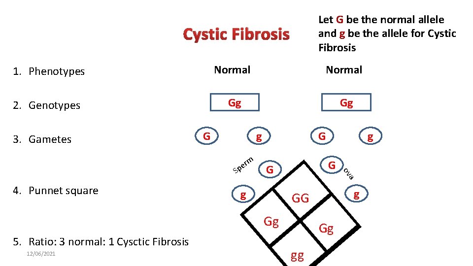 Let G be the normal allele and g be the allele for Cystic Fibrosis
