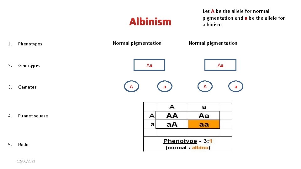 Albinism 1. Phenotypes 2. Genotypes 3. Gametes 4. Punnet square 5. Ratio 12/06/2021 Normal