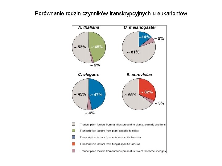 Porównanie rodzin czynników transkrypcyjnych u eukariontów 