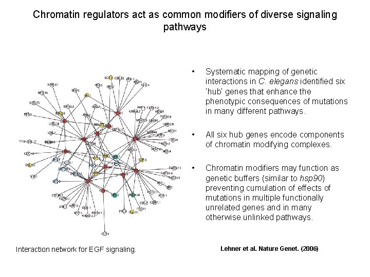 Chromatin regulators act as common modifiers of diverse signaling pathways Interaction network for EGF