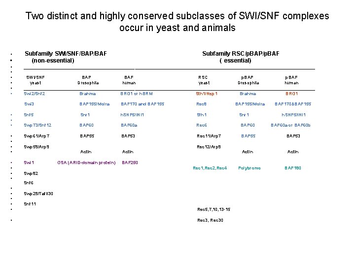 Two distinct and highly conserved subclasses of SWI/SNF complexes occur in yeast and animals