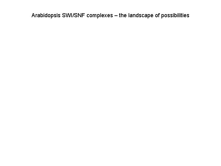 Arabidopsis SWI/SNF complexes – the landscape of possibilities 