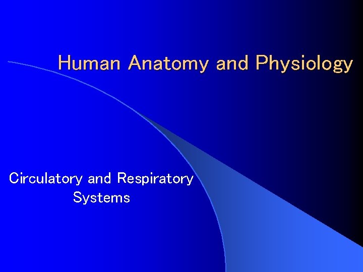 Human Anatomy and Physiology Circulatory and Respiratory Systems 