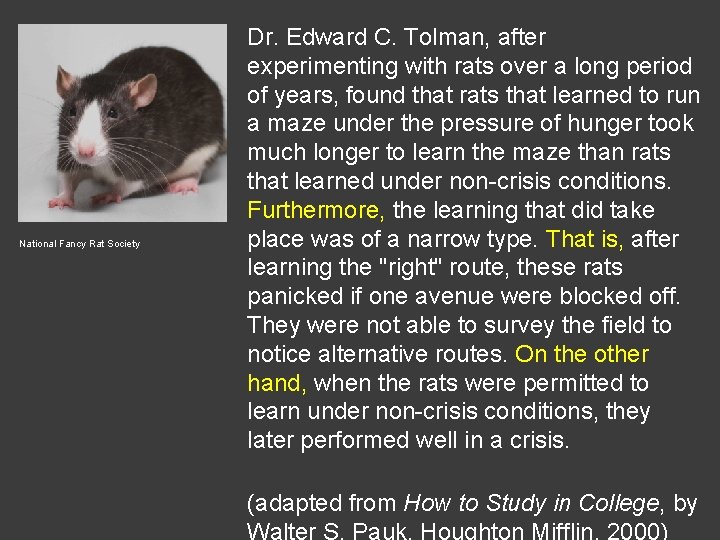 National Fancy Rat Society Dr. Edward C. Tolman, after experimenting with rats over a