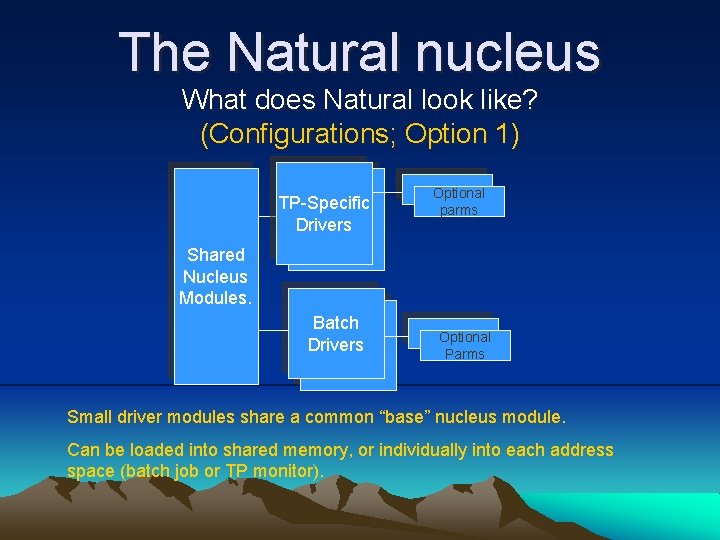 The Natural nucleus What does Natural look like? (Configurations; Option 1) TP-Specific Drivers Optional