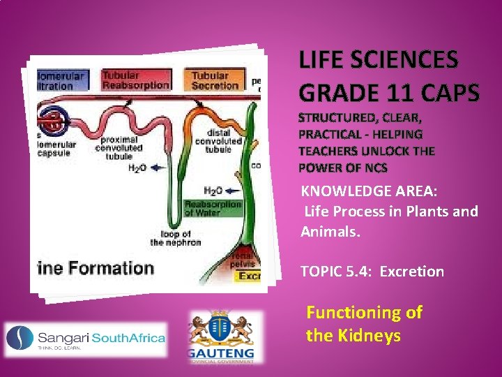 LIFE SCIENCES GRADE 11 CAPS STRUCTURED, CLEAR, PRACTICAL - HELPING TEACHERS UNLOCK THE POWER