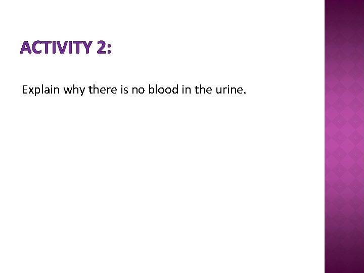 ACTIVITY 2: Explain why there is no blood in the urine. 