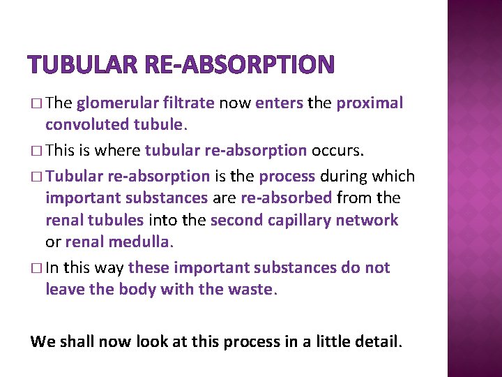 TUBULAR RE-ABSORPTION � The glomerular filtrate now enters the proximal convoluted tubule. � This