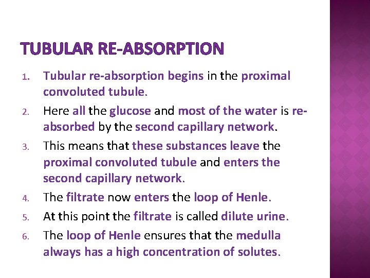 TUBULAR RE-ABSORPTION 1. 2. 3. 4. 5. 6. Tubular re-absorption begins in the proximal