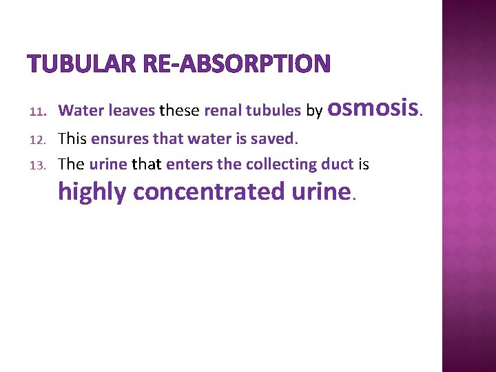 TUBULAR RE-ABSORPTION 11. 12. 13. Water leaves these renal tubules by osmosis. This ensures