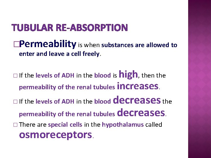 TUBULAR RE-ABSORPTION �Permeability is when substances are allowed to enter and leave a cell