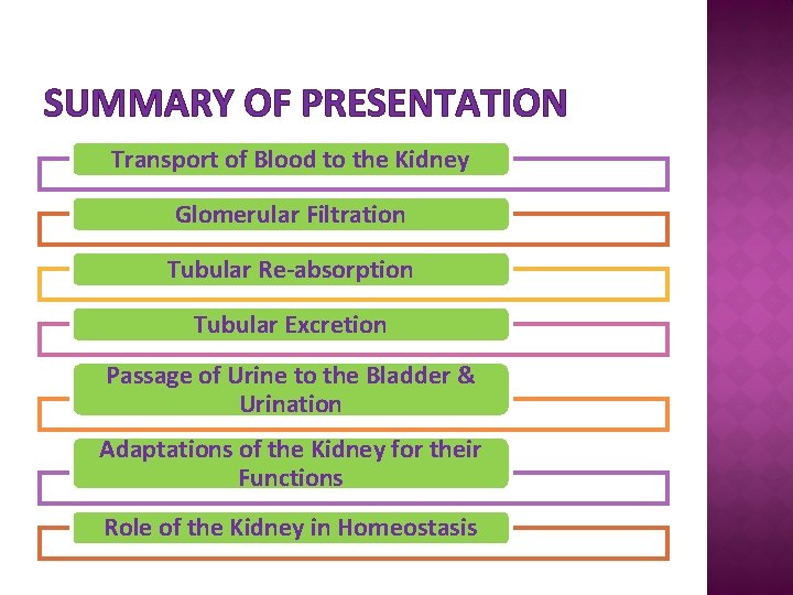 SUMMARY OF PRESENTATION Transport of Blood to the Kidney Glomerular Filtration Tubular Re-absorption Tubular