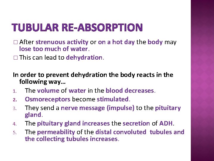 TUBULAR RE-ABSORPTION � After strenuous activity or on a hot day the body may
