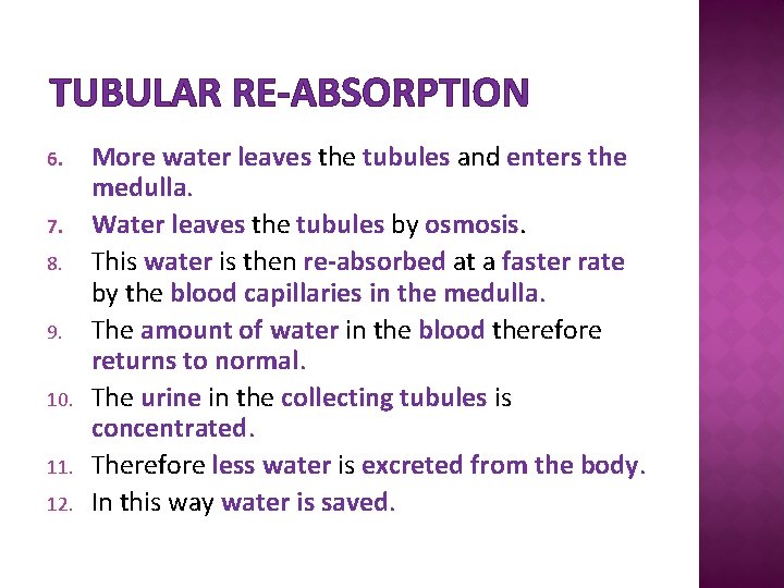 TUBULAR RE-ABSORPTION 6. 7. 8. 9. 10. 11. 12. More water leaves the tubules