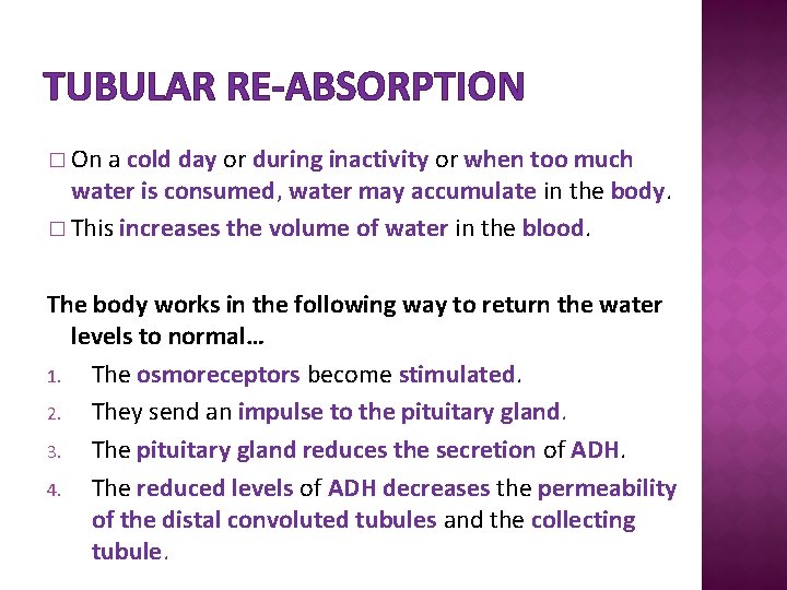 TUBULAR RE-ABSORPTION � On a cold day or during inactivity or when too much