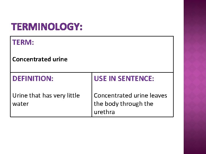 TERMINOLOGY: TERM: Concentrated urine DEFINITION: USE IN SENTENCE: Urine that has very little water