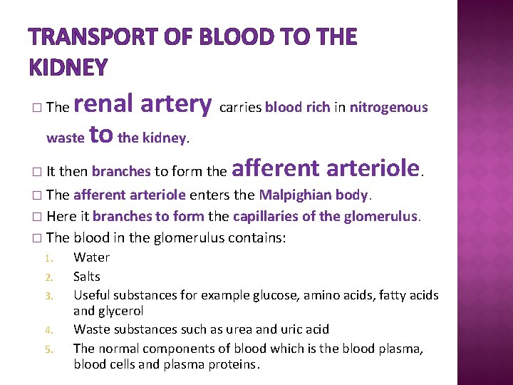 TRANSPORT OF BLOOD TO THE KIDNEY renal artery carries blood rich in nitrogenous waste