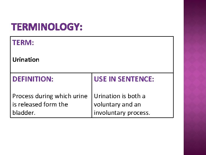 TERMINOLOGY: TERM: Urination DEFINITION: USE IN SENTENCE: Process during which urine Urination is both