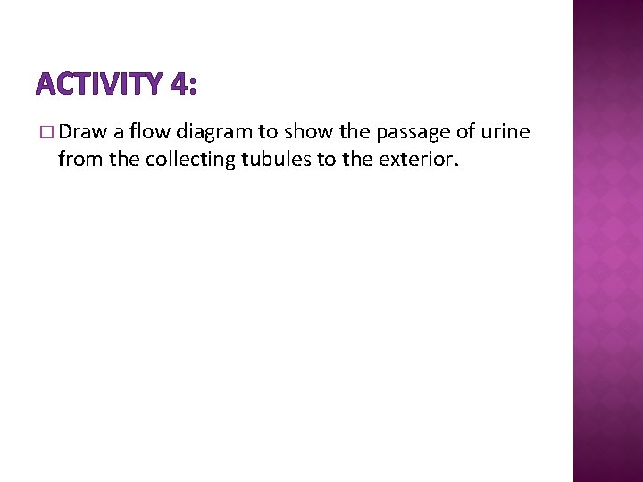 ACTIVITY 4: � Draw a flow diagram to show the passage of urine from