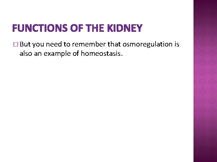 FUNCTIONS OF THE KIDNEY � But you need to remember that osmoregulation is also