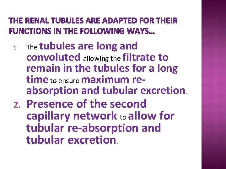 THE RENAL TUBULES ARE ADAPTED FOR THEIR FUNCTIONS IN THE FOLLOWING WAYS… 1. 2.