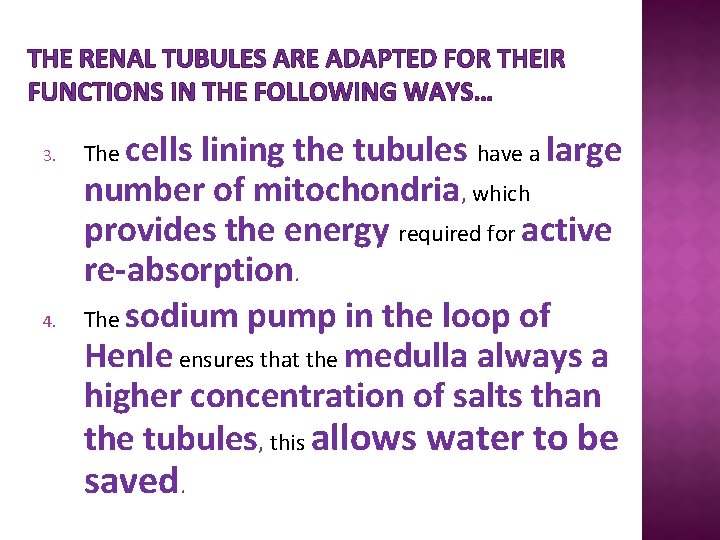 THE RENAL TUBULES ARE ADAPTED FOR THEIR FUNCTIONS IN THE FOLLOWING WAYS… 3. 4.