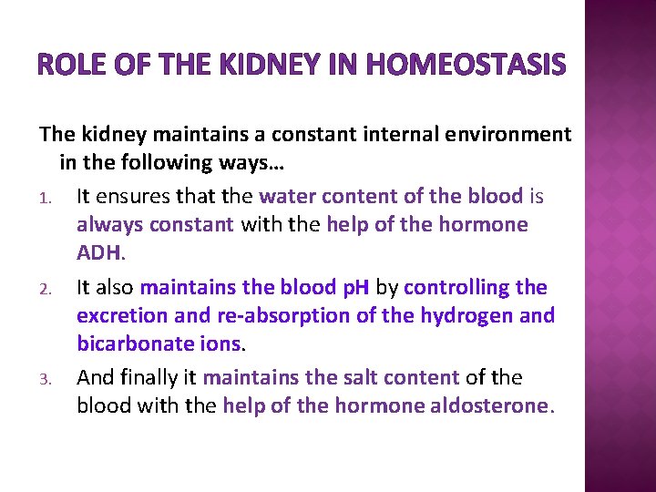 ROLE OF THE KIDNEY IN HOMEOSTASIS The kidney maintains a constant internal environment in