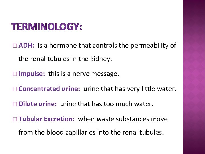 TERMINOLOGY: � ADH: is a hormone that controls the permeability of the renal tubules