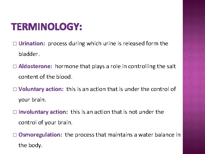 TERMINOLOGY: � Urination: process during which urine is released form the bladder. � Aldosterone: