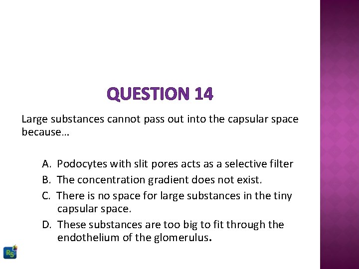 QUESTION 14 Large substances cannot pass out into the capsular space because… A. Podocytes