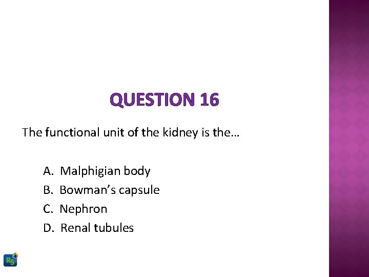 QUESTION 16 The functional unit of the kidney is the… A. B. C. D.